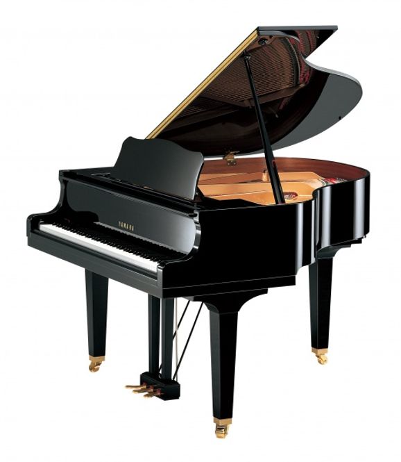 Hovedbilde Yamaha GB1K