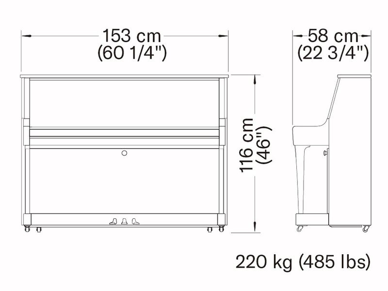 Yamaha B20, sort polert