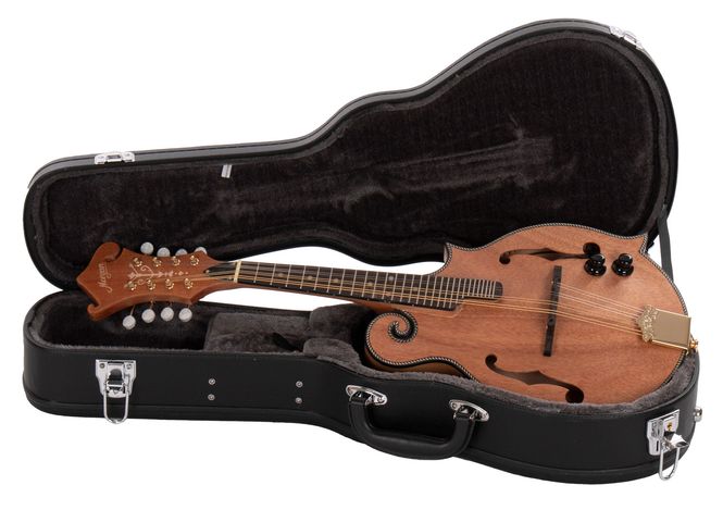 Hovedbilde Morgan Mandolin M 63 E Nm W/case