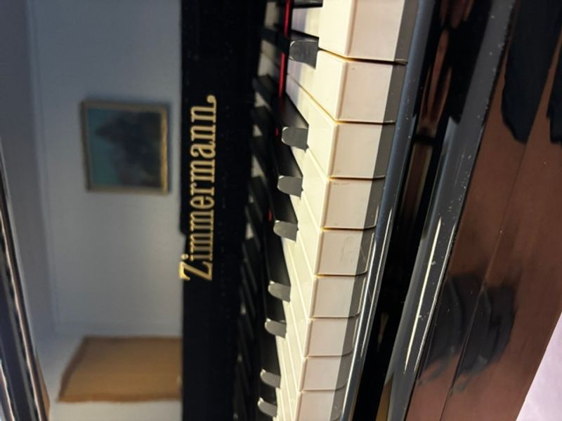 Zimmermann Z-175 flygel 