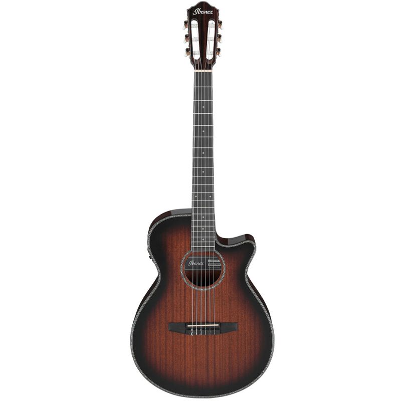 Ibanez AEG74N-MHS 