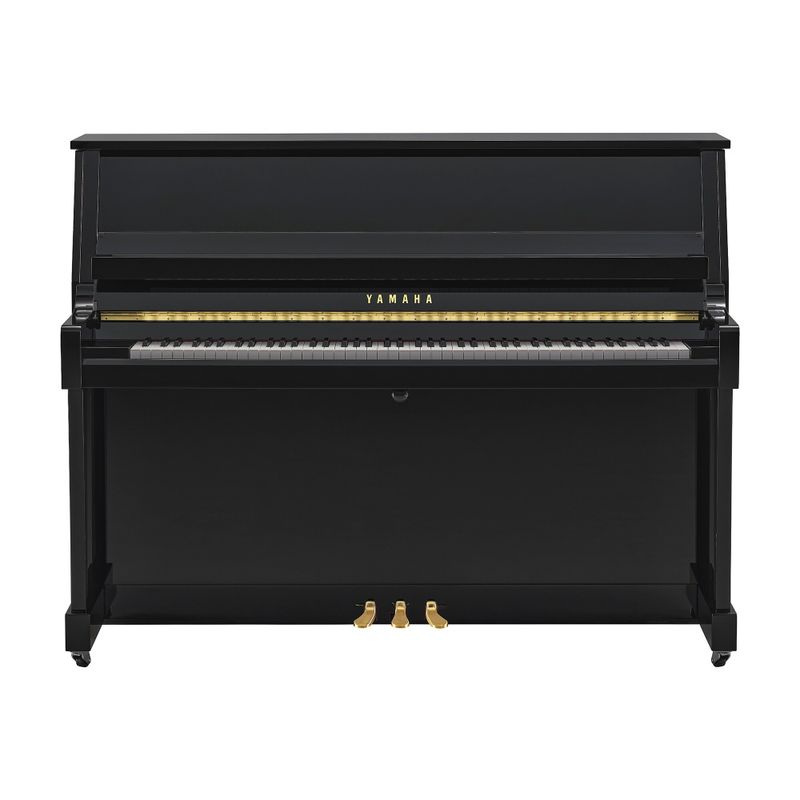 Yamaha B20, sort polert