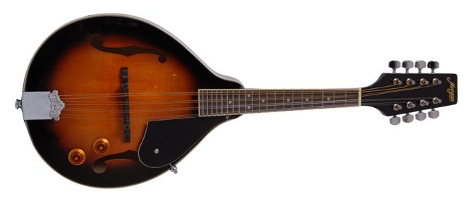 Hovedbilde Morgan Mandolin M 20 E Av