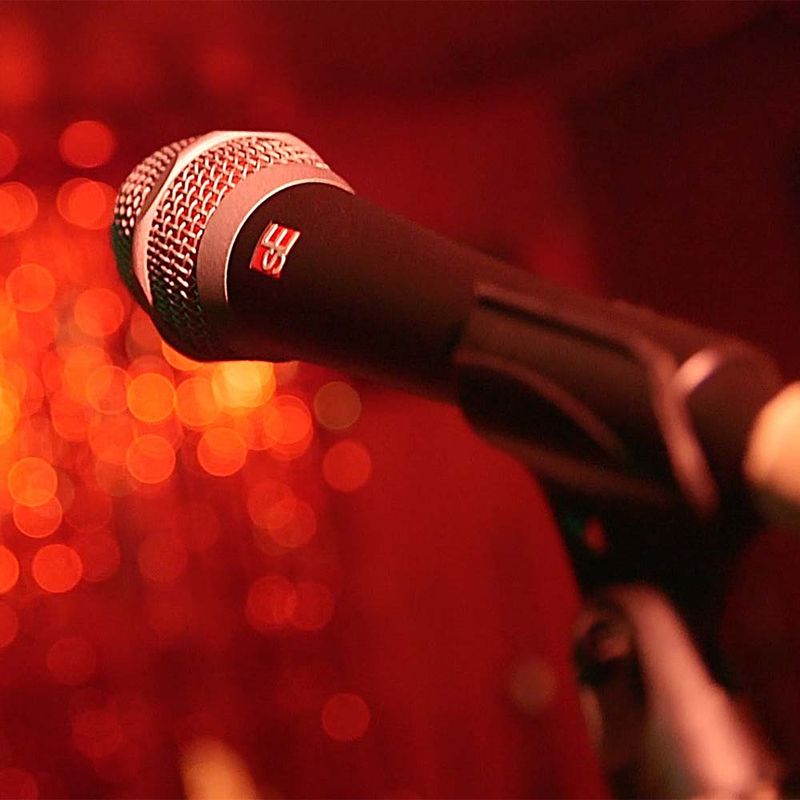 sE Electronics V7 - Dynamic Microphone
