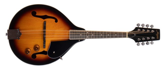 Hovedbilde Morgan Mandolin M 20 E Vs
