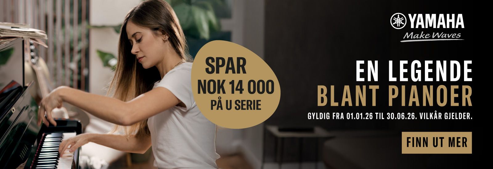 akustisk gitar, musikkforretning, martin gitar, musikkbutikk, brukte piano, brukte flygel, trekkspill, akustisk gitar, spar penger